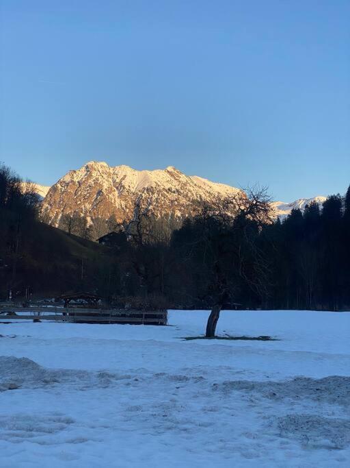 Gruenes Stueble Allgaeuer Alpen ซอนโทเฟิน ภายนอก รูปภาพ